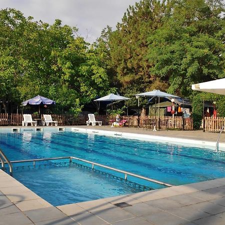 Camping Mitikas And Bungalows Plaka Litochorou Extérieur photo