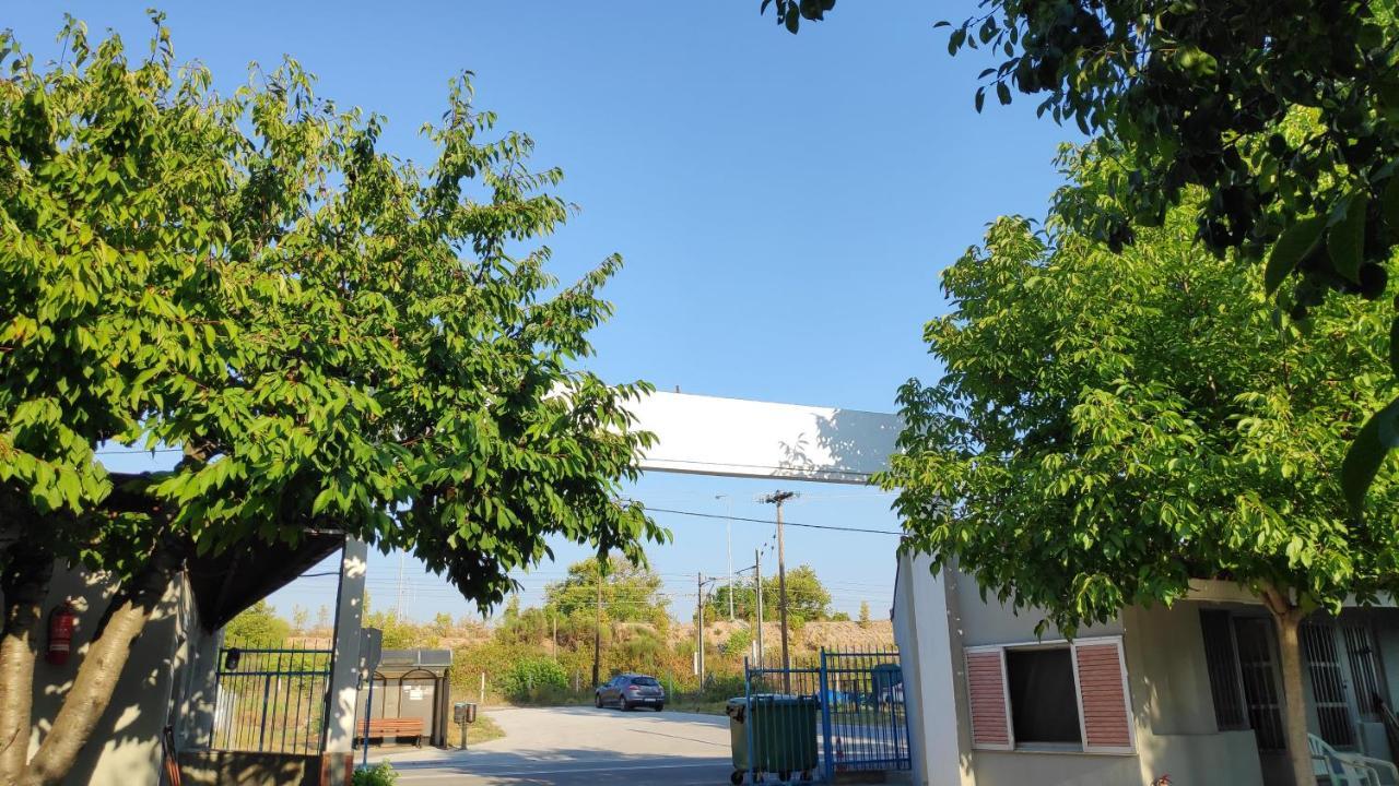Camping Mitikas And Bungalows Plaka Litochorou Extérieur photo